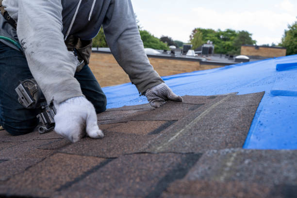 Best Flat Roof Repair Services  in Sycamore, GA